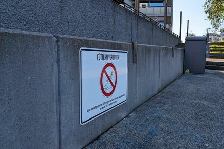 Ein Verbotsschild an einer Mauer weist daraufhin, dass das Füttern von Wasservögeln verboten ist.