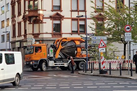 Ein Lastwagen transportiert einen großen Baum.
