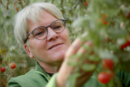 Heidi Jung zwischen ihren Tomatensträuchern
