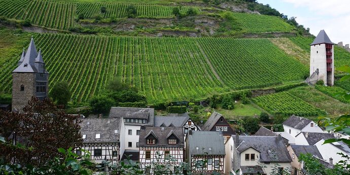 Blick auf Fachwerk und Weinberge