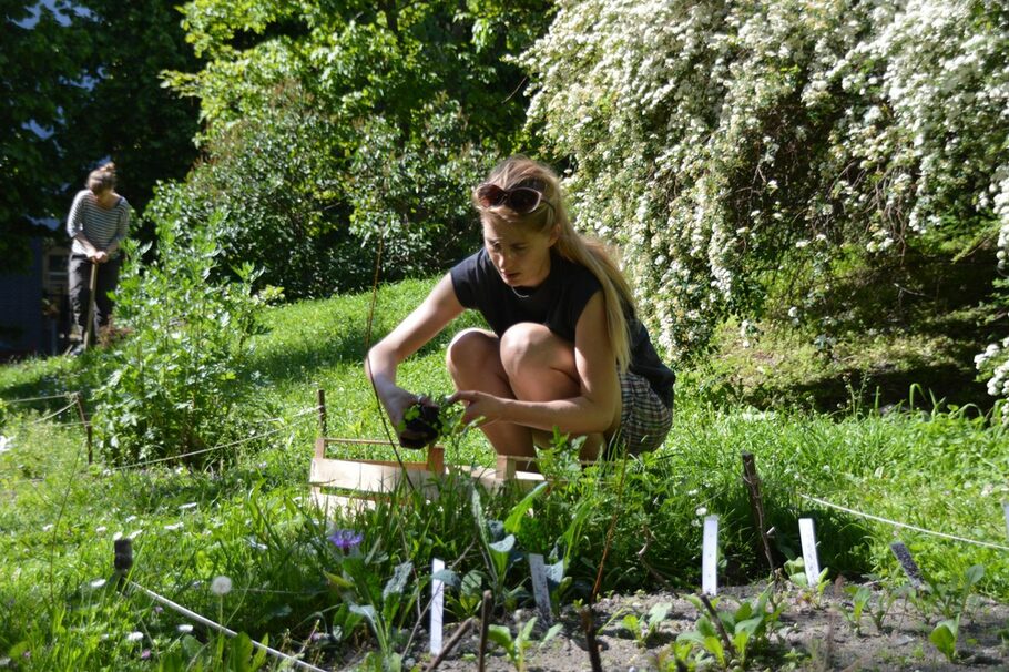 Zwei Frauen pflanzen im Schäfergarten.