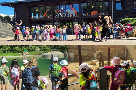 Ausflug zum Opel-Zoo mit den Vorschulkindern