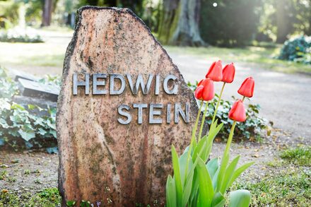 Grabmal mit Aufschrift Hedwig Stein