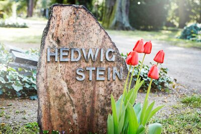 Grabstein mit der Aufschrift Hedwig Stein